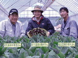 契約農家のみなさん 佐藤、駒村、清水さん