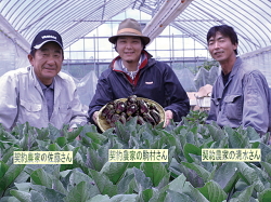 契約農家のみなさん