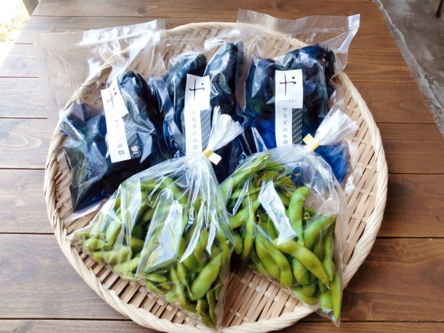 夏Dセット