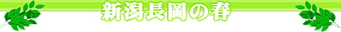 長岡の春