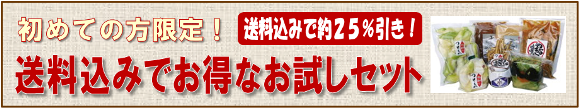 送料込みでとってもお得！柳醸造のお試しセット