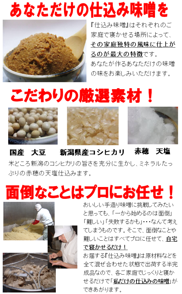 仕込み味噌　説明